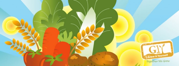 523448_591358277594212_1793466891_n