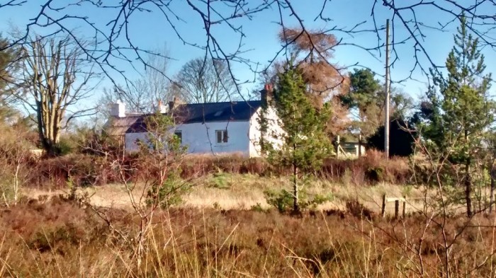 IMG_20160210_121230869_HDR