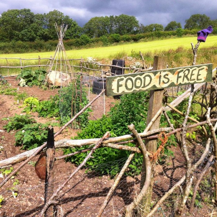 11755285_918298594898684_4745981878571844989_n