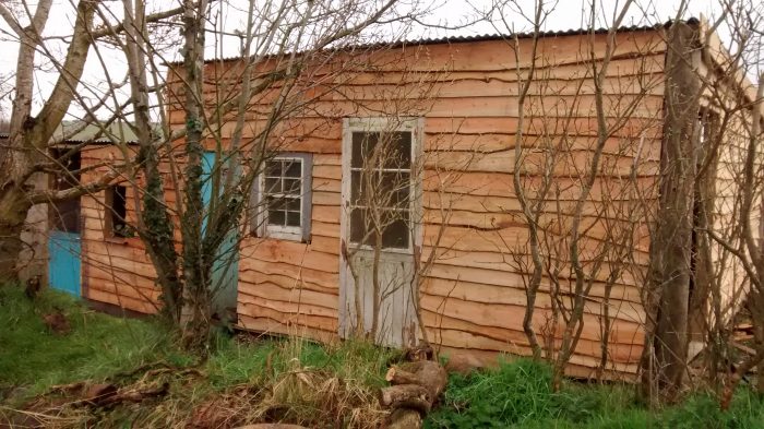 IMG_20160413_155422598 (1)