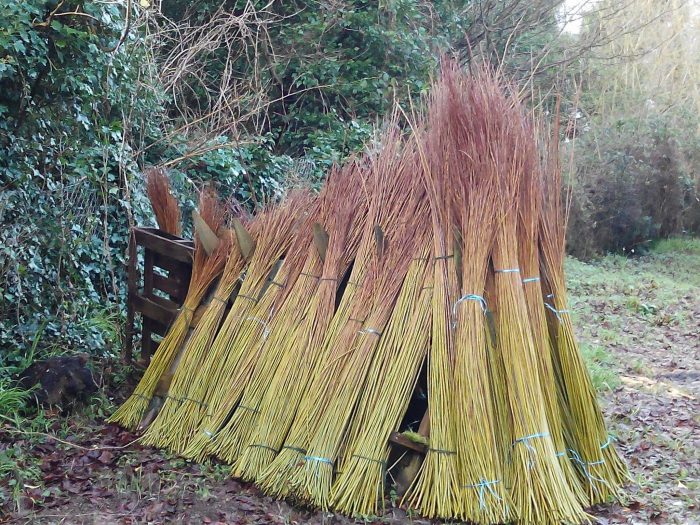 14446333_10154234952324442_646116153_o-1