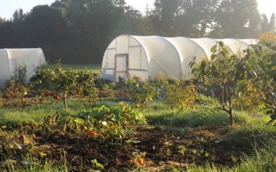 Three years of memories