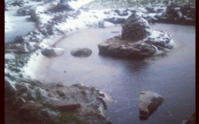 Spring – not quite what we were expecting