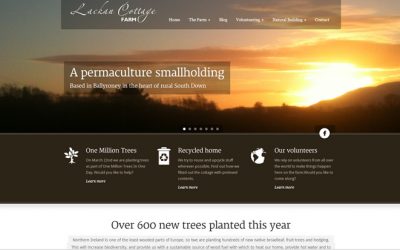 Welcome to the new website