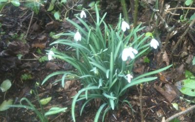 The end of winter (almost)