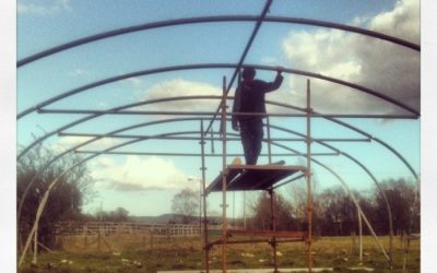 Finally some sun, and a new polytunnel