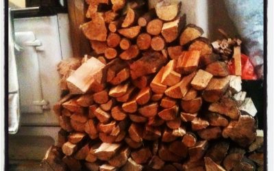 The wood fuelled home