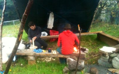 The end of the season