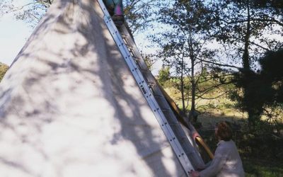 A little bit of Wales has come to live at Lackan Cottage Farm