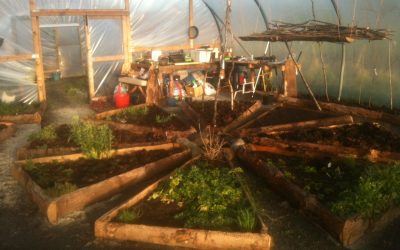 It’s seed sowing time!