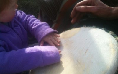 Drumming at Lackan Cottage farm