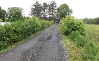 Regenerating hedgerows