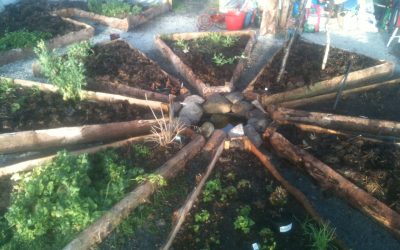 Open Source Seed Initiative