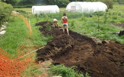 Making a hugelkultur bed