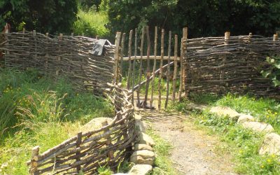 A flavour of what is to come