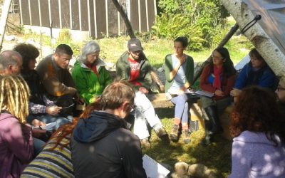 Eco classroom update – week 2