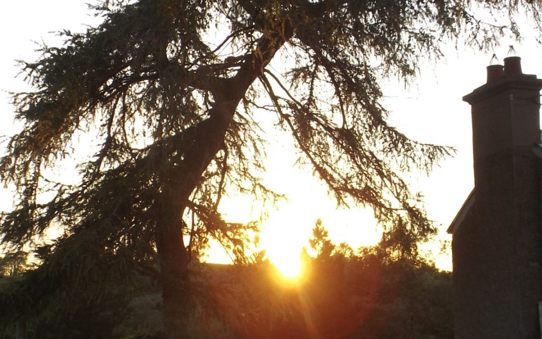 Celebrating our solstice