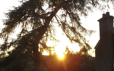 Celebrating our solstice