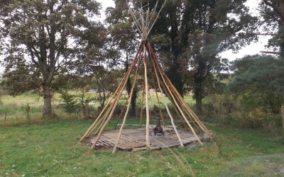 Weathering the storm