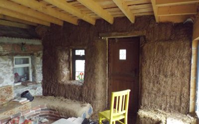 Earth plaster update