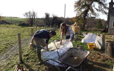 ‘Proper’ plastering