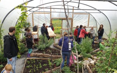 Open Day – June 18th **FULLY BOOKED**