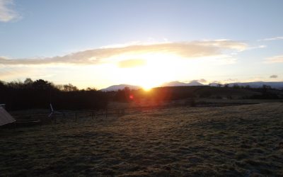 Could you retire early?