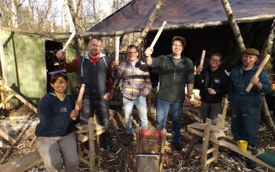 Turning in the woods