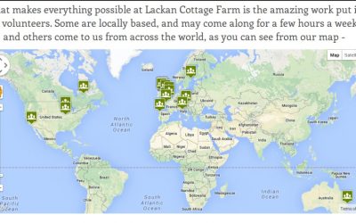 Website improvements