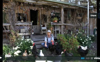 Living off grid – Calamity Jill