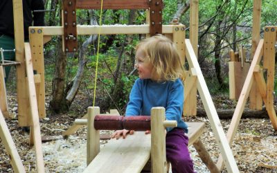 Green woodworking at Lackan