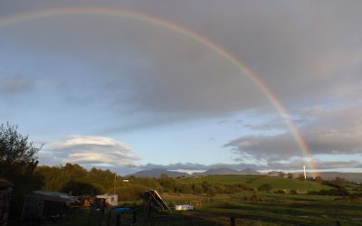 You can make a difference