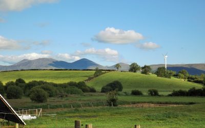 Midsummer has arrived