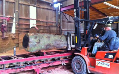 A trip to the sawmill