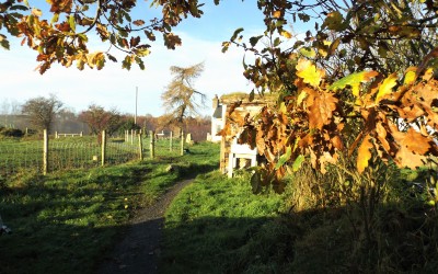 Who turned the sun off?