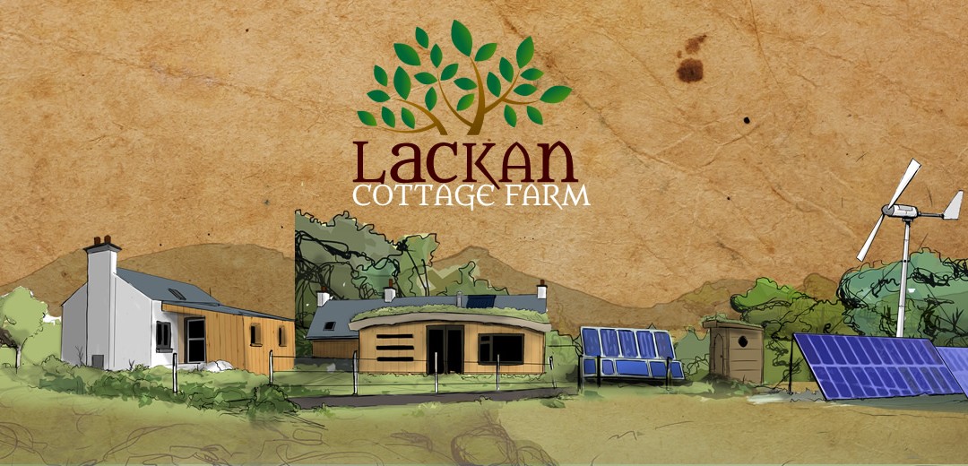 Give the gift of green woodworking