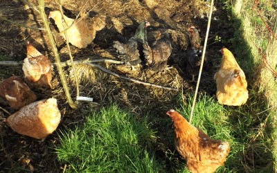 Farewell to old friends, and a welcome to new faces