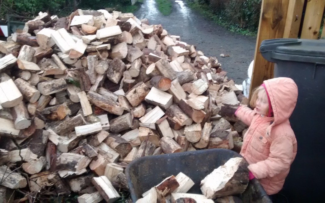 Filling up with firewood