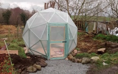 An interesting diversion