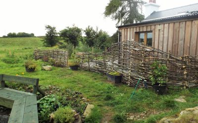 Two weeks of wwoofing