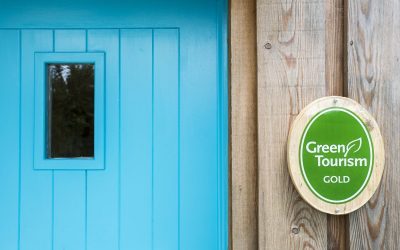 Is your paint poisoning you? A guide to eco friendly finishes.