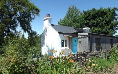 High summer at Birch Eco Cottage – off grid self catering