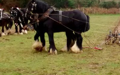 Gathering our harness