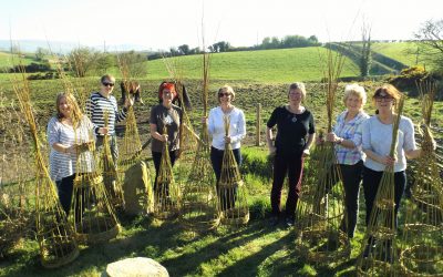 Woodworking and willow – spring courses