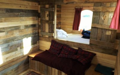 Introducing Harriet the horsebox