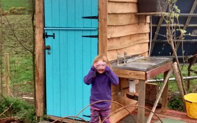 A tremendous treebog