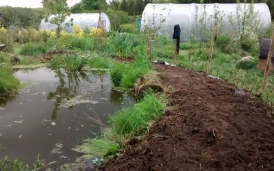 Improving our water treatment and storage