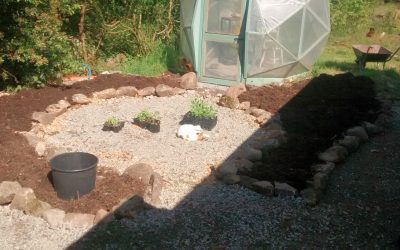 A new home for the dome