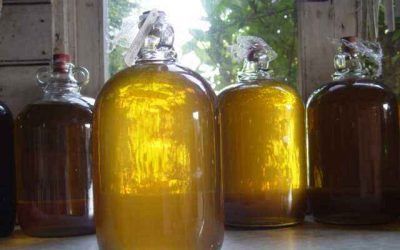 Hedgerow winemaking with Leo – 14th April 2018