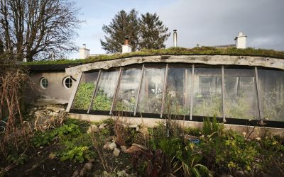 Looking forward to 2026 at Lackan Cottage Farm